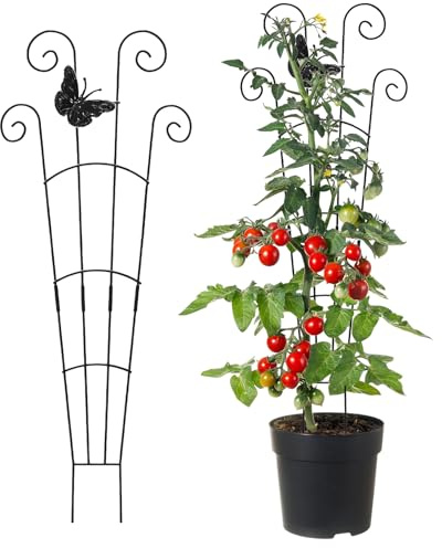 Tutor Plantas – Para todas las estaciones – Rejilla para plantas trepadoras de interior | para hortalizas, vid, bonsái, pimiento, orquídea, flores, alféizar de la ventana, balcón y