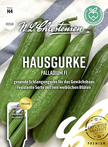 Hausgurke Palladium F1 Samen, Saatgut