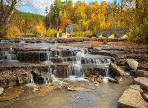 Summer Park Deciduous Trees Jigsaw Puzzle, Green Tree Park Scene, 1000 Piece, Multi for Family, Eco-Friendly Wood for Safe Use