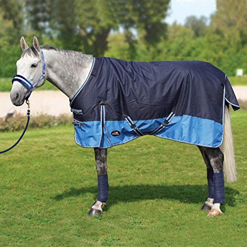 Winterdecke Pferdedecke Regendecke Horsenjoy Aristo 600D 200g Weidedecke Paddock (125 cm)