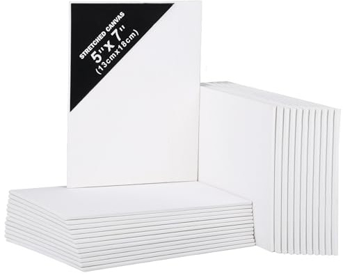 Belle Vous 24 Stk Leere Leinwände zum Bemalen – 13 x 18 cm – Vorgespannte Kleine Leinwand – Leinwände für Acrylmalerei, Ölgemälde, Skizzen und Zeichnungen