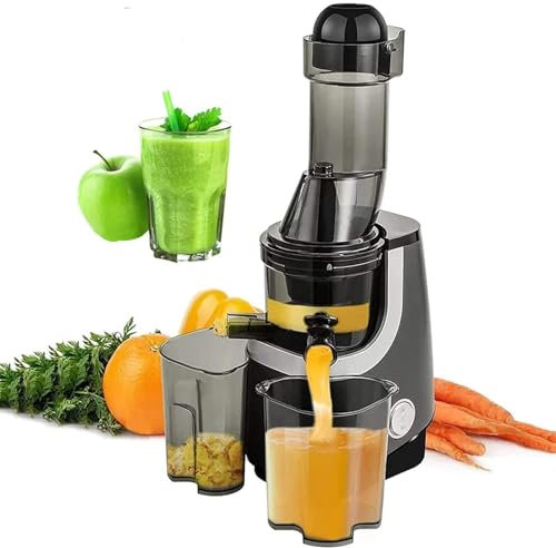 Estrattore di Succo a Freddo Lento, estrattore di Succo a masticazione lenta, estrattore di Succo Professionale per Frutta e Verdura Fresca ad Alto Contenuto di nutrienti