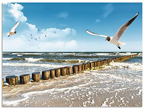ARTland Wanddeko Wandbild Alu Verbundplatte für Innen & Outdoor Bild Strand Meer Maritim Landschaft See Ostsee Möwe Himmel Sommer T5QR