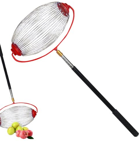 Générique Ramasse Noix et Fruits au Sol, Collecteur de Noix Roulant avec Manche Télescopique, Outil Manuel pour Ramasse Noisettes, Glands et Châtaignes, Récolte Facile au Jardin et Verger