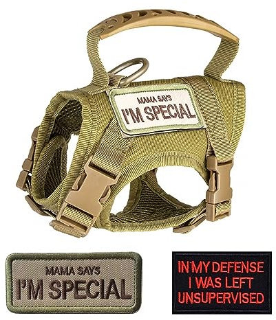 Katzengeschirr Leine,Taktisches Haustier Gehgeschirr Ausbruchsicher Atmungsaktiv Katzenwestengeschirre mit Buchstabenaufklebern für Katzen Hunde