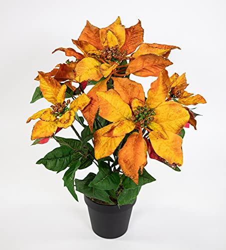 Seidenblumen Roß Weihnachtsstern mit Glitzer 48cm orange im Topf LM künstliche Blumen Kunstblumen Poinsettie