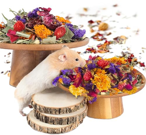 Natural Grain Flower&Herb Hamster Habitat Cage Accessories Bedding Decor | Natural Ear of Grain Flower&Herb Bedding Mate Habitat Decor, Adding Fun Hamster Accessories for Hamsters Gerbils Lemming