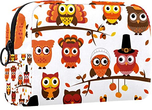 Kleine Schminktasche für Damen,Schminktasche, Reisekosmetiktasche,Bunte Cartoon-Eule Drucken