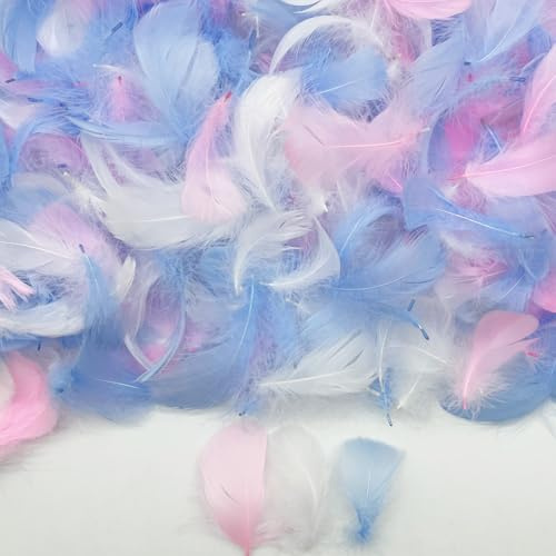 500PCS Small Craft Feathers Assorted Colors Transgender Light Pink Blue White Bulk 2-3Inch Soft Goose Feather for Baby Shower Birthday Party Decor Balloons Glass Bottle Ornament