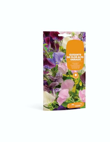 Guisante de Olor Trepador Sobre de Semillas de Albejana