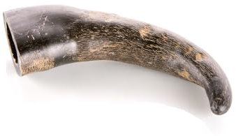 Animal House – Büffelhörner für Hunde – 100% natürlich, kaubar – Stärkt die Mundhygiene – Stark und langlebig – In Allen Größen erhältlich – Tierversuchsfrei (1, S)