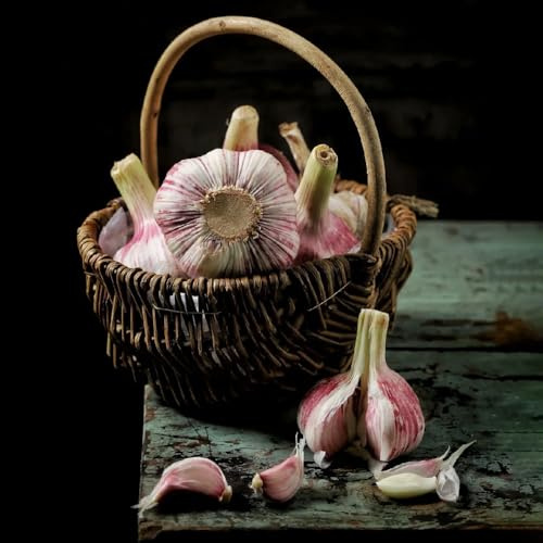KnoblauchSamen-Pflanzknoblauch,gewächshaus balkon gartenPflanzenwinterhart mehrjährig bio saatgut 250pcs