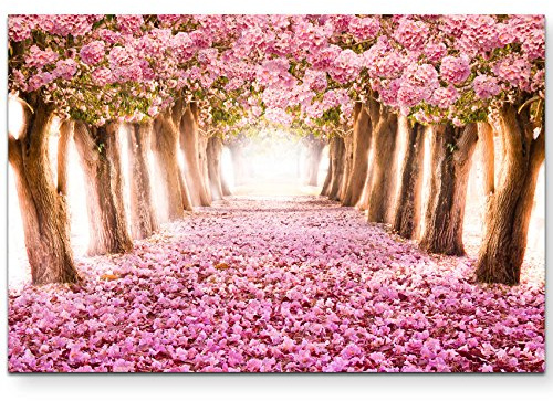 Leinwandbilder | Bilder Leinwand 120x80cm Allee aus rosa Blüten
