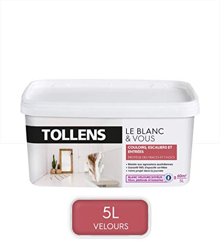 Tollens - Peinture Blanche Spéciale Couloirs, Escaliers et Entrées - Velours - Blanc 5L = 60m2