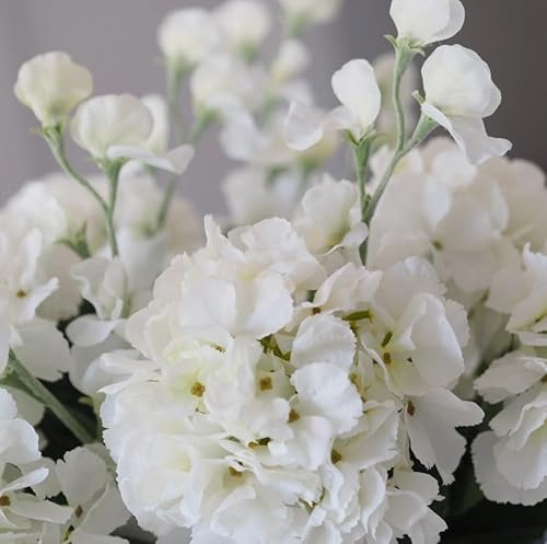 Ramo de Hortensia Natural Color Blanco con 10 Flores en Presentación Premium para Detalles Especiales Hydrangeas