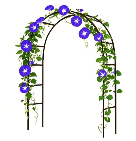 Arche de jardin en métal avec cadre en acier de 2,3 m de haut, 3 m de large – Treillis en fer pour plantes grimpantes comme la glycine et la gloire du matin, parfait pour la décoration de fête (noir)