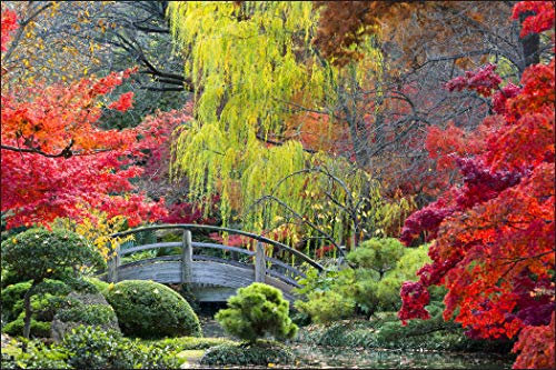 Muralo Photo Wallpaper Nature 150 x 225 cm Non-Woven Wallpaper Wall Wallpaper Wooden Bridge River Japanese Garden Trees Colourful Living Room Bedroom Modern XXL Landscape Panorama Wall Decoration
