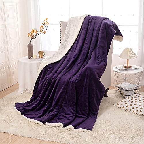 Highdi Kuscheldecke Flauschig Sherpa Decke Einfarbig Flanell Doppelschicht Decke Warm Super Weiche Wohndecke Fleecedecke, als Sofadecke oder Tagesdecke (180x200cm,Veilchen)