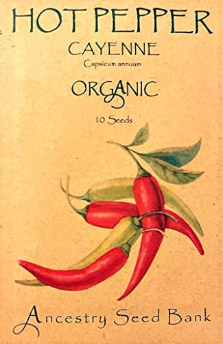 Organic Pepper Hot ❁ Cayenne ❁ x10 Seeds Heirloom - Non GMO