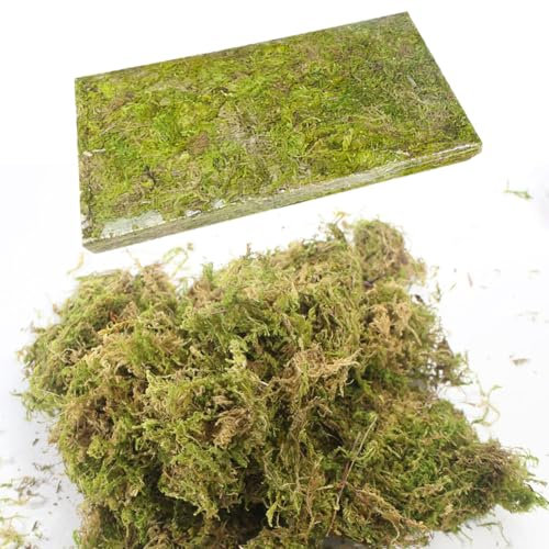 Moos für Pflanzen,Sphagnum Moos,Orchideen Terrarium Blumenerde,Organisches Torfmoos,Organischer Dünger für Phalaenopsis,Gutes Kultursubstrat für Orchideen,Geweihfarne,Pflanzensetzlinge