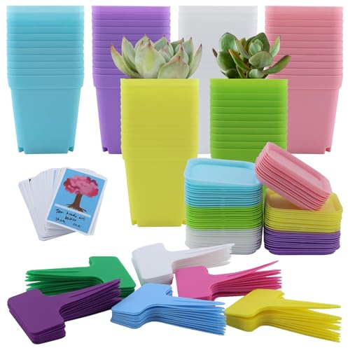 JRSHIRLEYLTD 66Stück 7CM Anzuchttöpfe, Pflanztöpfe, Anzucht Ackig Mit Untersetzer, Klein Blumentöpfe Plastik, Mini Töpfe Für Samen Sukkulenten-Bunt