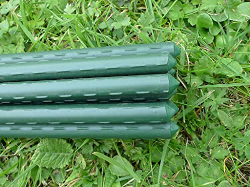 Plant Support Stakes & Tomato Canes | Large Garden Poles for Peonies Flowers Runner Beans Climbing Vegetables Fruit Cages - 1.8m / 71 Long x 11mm Ø (10)