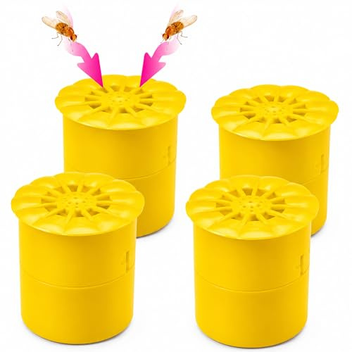 Pastaclean® Trappole per mosche della frutta, confezione da 4, efficaci trappole per mosche della frutta, senza veleno, trappole per insetti per il cestino della frutta, facile da riempire con