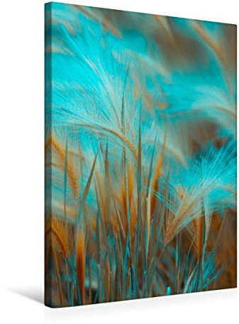 Premium Textil-Leinwand 50 x 75 cm Hoch-Format Gräser im Licht | Wandbild, HD-Bild auf Keilrahmen, Fertigbild auf hochwertigem Vlies, Leinwanddruck von Ulrike Adam