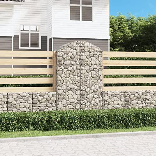 Nqyjm Cestino gabbioni Forma Arco Ferro zincato 100x50x160/180 cm Zincato Cestino Recinzioni per Giardino Metallici Gabbioni Fioriera