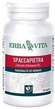 SPACCAPIETRA 60 CASULE 300 MG