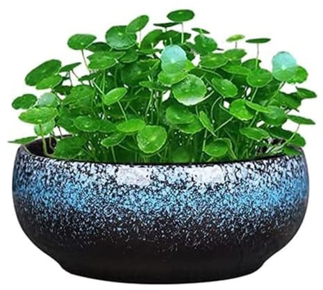 KUKUUU Pots de Fleurs en céramique de 7,2 Pouces, Pots de Fleurs for Plantes succulentes, Bols for bonsaï, conteneurs hydroponiques décoratifs(Blue)