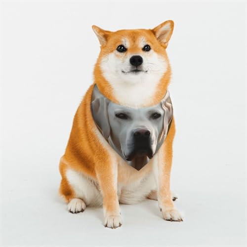 Hundehalstuch, weißer Labrador, verstellbare Haustierhalstücher für Hunde, Weihnachten, Haustier-Schal, Dreieck-Lätzchen, Halstuch, weich, atmungsaktiv, Welpen-Bandana für kleine, mittelgroße und