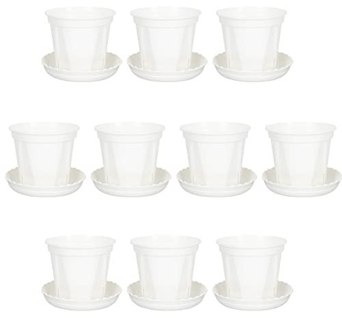 Happyyami Tischständer Blumentopf Sukkulente Pflanze T? : 10 S?TZE Wurzelsteuerung Pflanzgef?s mit Untertasse Dekorative Vase Kaktus Bonsai Topf Kindergarten T?pfel Desktop