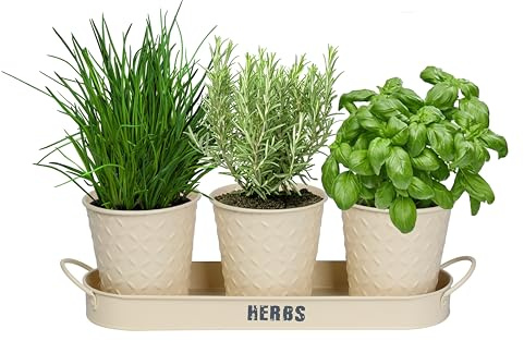 simpa 3PC Cream Herb Pot Planters with Embossed Decorative Finish & Tray