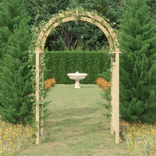 BaraSh Arco con Enrejado Madera Maciza impregnada 141x97x243 cm para Trepadoras Cultivos Plantas Flores Decoración en Jardín Terraza Balcón