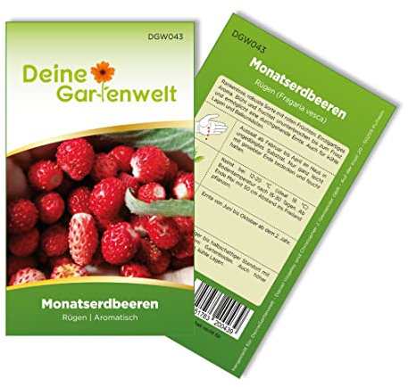 Monatserdbeeren Rügen Samen - Fragaria vesca - Erdbeersamen - Obstsamen - Saatgut für 100 Pflanzen