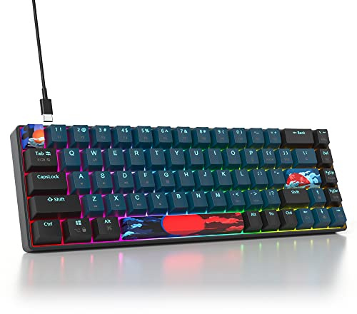 SOLIDEE 65 Percent Mechanical Gaming Keyboard,RGB Backlit Mini 65% Wired Keyboard with Red Switches,Compact USB-C Keyboard for Windows/Mac,68 Keys Anti-Ghosting for PC Laptop Typing Gaming(68Monstor)
