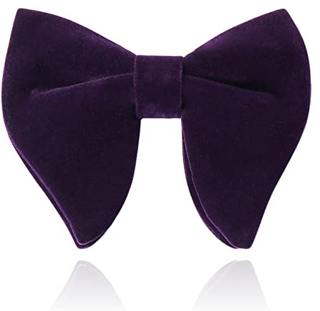 HOULIFE Nœud papillon réglable en velours pour homme - Nœud papillon uni avec de grands papillons - Pour marié - Avec boîte cadeau, Violet, 12x10cm
