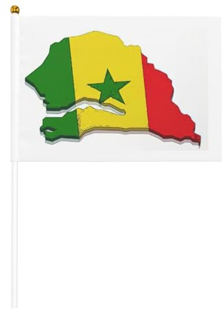 Lot de 10 mini drapeaux du Sénégal sur bâton 14 x 21 cm