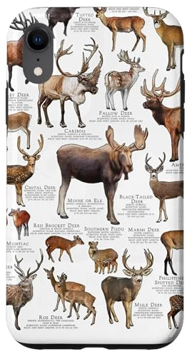 Motif cerf rétro - Esthétique des Bois Coque pour iPhone XR