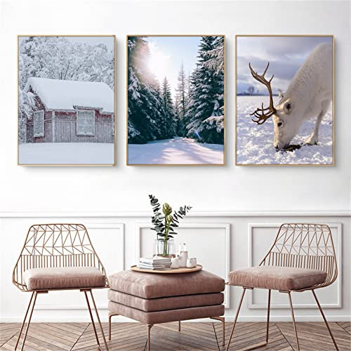 Martin Kench 3er Poster Set, Modern Winter-Schnee-Szene Bilder,Tannenzapfen Elch Wald Kunstposter,Wandbilder für Wohnzimmer Schlafzimmer, Ohne Rahmen (B,21x30cm)