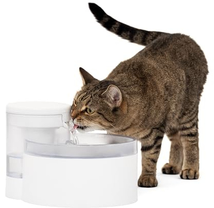PetSafe Outlast Pumpless Water Fountain, 1.7 L, Small Dog and Cat Water Fountain, Dishwasher Safe, Easy Assembly and Cleaning, 1 Filter Included in the box