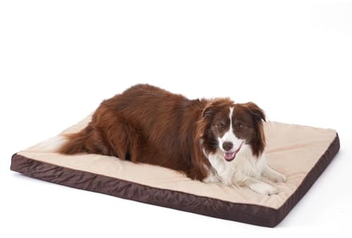 GUPPBF Orthopädisches Hundebett für kleine und mittelgroße Haustiere, umwandelbare (kalt/warm) Hundematte, Abnehmbar und maschinewaschbares Haustierbett, wasserdichtes Futter, Beige,75cmx50cmx7cm
