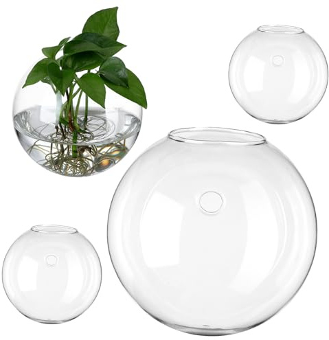 EPIGEIST 4 Stück Glas Wandpflanzgefäße Rund Elegante Vermehrungsstation mit Glatter Oberfläche für Zimmerpflanzen Vielseitiger Pflanzenhalter als Wanddekoration im Büro