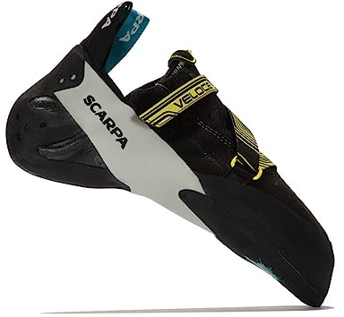Scarpa