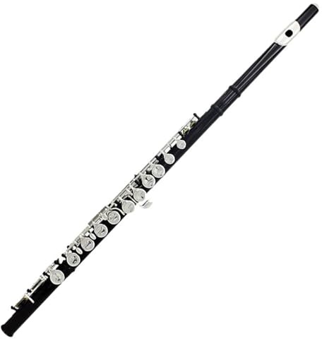 Querflöte Instrument 16-Loch-C-Ton-Flöteninstrument Mit Geschlossenem Loch Für Schüler Und Erwachsene Mit Koffer Und Zubehör (Color : Black)