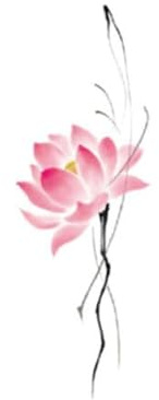 Autocollant De Tatouage De Style Chinois Imperméable Couleur Lotus Rose Pour Femmes Fraîches Résistantes À La Sueur Et Sexyfaux Tatouage Temporaire