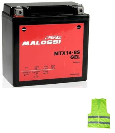 KOMPATIBEL MIT Triumph Sprint ST (T695ST) 955 Jahr 1999 al 2004 Schlagzeug YTX14-BS MALOSSI MTX14-BS Gel GELADEN UND BEREIT ZU VERWENDEN Batterie AKTIVE 12 Ampere 12 Volt 150X87X145MM