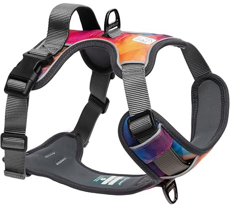 Embark Urban Hundegeschirr, einfaches An- und Ausziehen, mit Leinenbefestigungen vorne und hinten und Kontrollgriff, kein Ziehen, Größe verstellbar und Nicht Würgen (klein, Aurora)