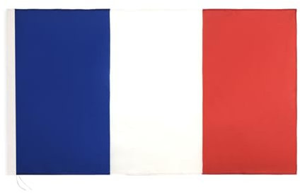 LEIVESTE Drapeau Français, Résistant aux Intempéries avec Boucle pour Mât de Drapeau Français, 90x150cm.